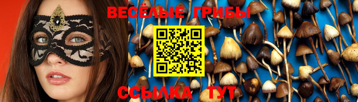 Асино  Псилоцибиновые грибы мицелий  Вход с VPN 
